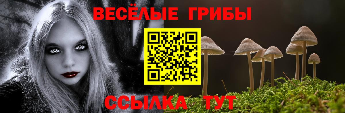 Псилоцибиновые грибы прущие грибы  Вход с VPN  Чебоксары  Галлюциногенные грибы мухоморы 